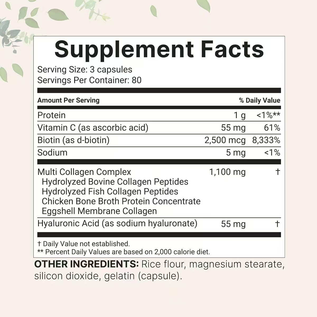 Modern Vitamin + Multi Collagen Capsules