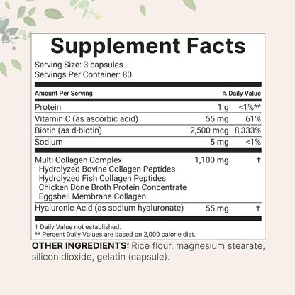 Modern Vitamin + Multi Collagen Capsules