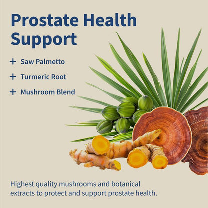 Prostate Health Saw Palm Capsule