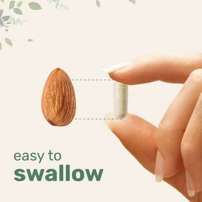 Modern Vitamin + Multi Collagen Capsules