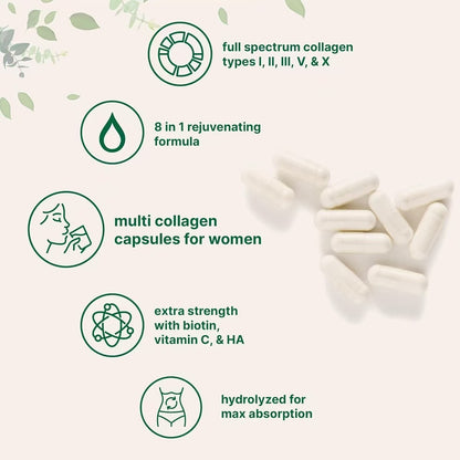 Modern Vitamin + Multi Collagen Capsules